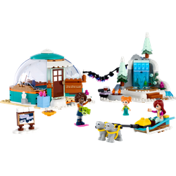 Przygoda w igloo