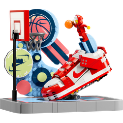 Nike Dunk Trickshot