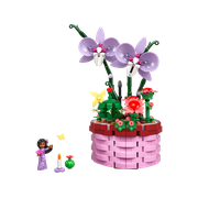 Isabela's Flowerpot