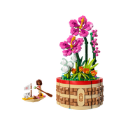 Moana's Flowerpot