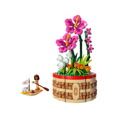 Moana's Flowerpot