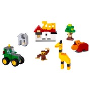 Animals