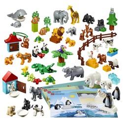 Animals