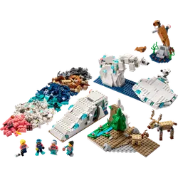 Arctic Animals Science Kit, zdjęcie 1