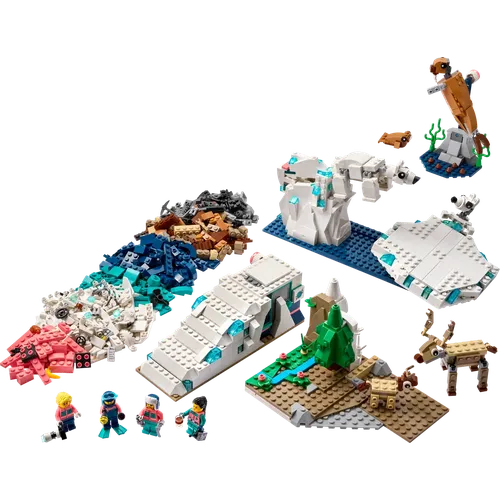 Arctic Animals Science Kit