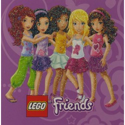 Friends Notebook