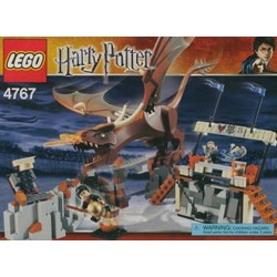 Harry and the Hungarian Horntail, zdjęcie 1