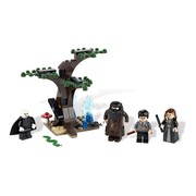 The Forbidden Forest