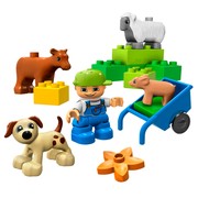 Animals