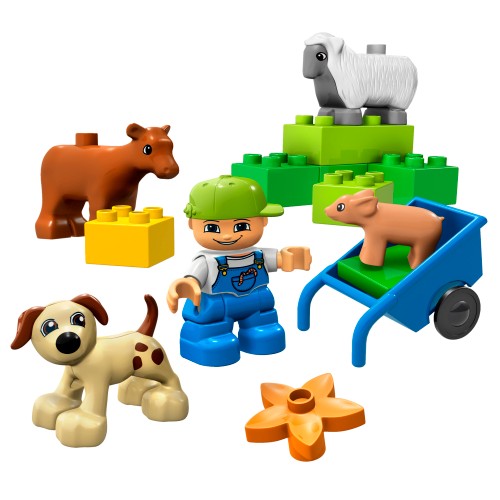 Animals