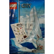 Arctic Accessory Set