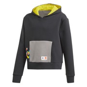 adidas x Classic LEGO Bricks Boxy Hoodie