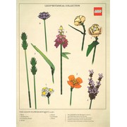 Botanical Collection Art Print – Bouquet