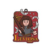 Leviosa Magnet