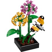Butterfly Garden