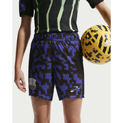 Nike x LEGO Collection Big Kids' Aero-FIT Shorts