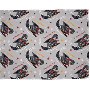 Harry Potter Fleece Blanket