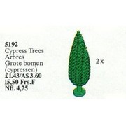 Cypress Trees