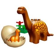 Dino Birthday