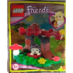 Hedgehog In The Woods