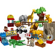 Feeding Zoo