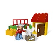 Chicken Coop