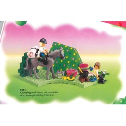Pony Trekking