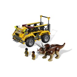 Triceratops Trapper, zdjęcie 1