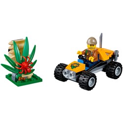 Jungle Buggy, zdjęcie 1