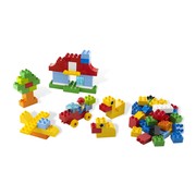 Build and Play