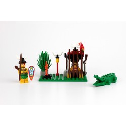 Crocodile Cage