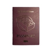 The Lego Store Passport
