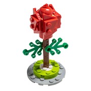 Red Rose