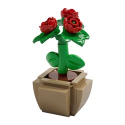 Potted Roses, zdjęcie 1