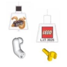 The Inside Tour Torso (set 6597568-1)