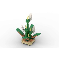 Micro Peace Lily, zdjęcie 1