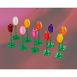 Tulips