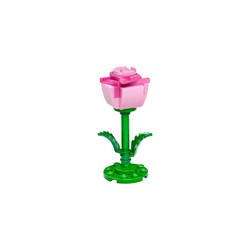 Micro Pink Rose, zdjęcie 1