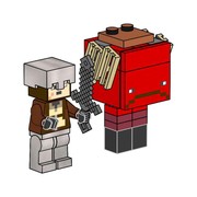 Nether Hero and Strider