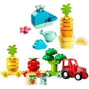 Fruit & Vegetables Gift Pack