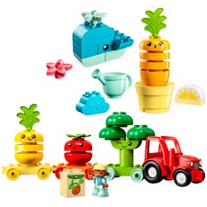 Fruit & Vegetables Gift Pack (set 66776-1)
