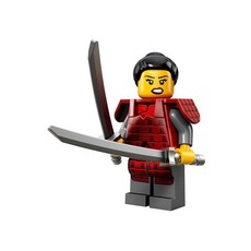 Samurai (set 71008-12)