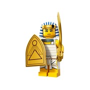 Egyptian Warrior