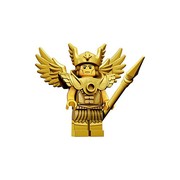 Flying Warrior
