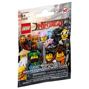 The LEGO Ninjago Movie - Random Bag