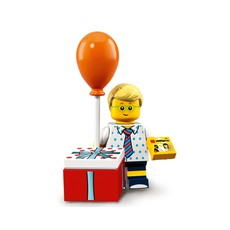 Birthday Party Boy (set 71021-16)