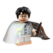 Harry Potter (Invisibility Cloak)