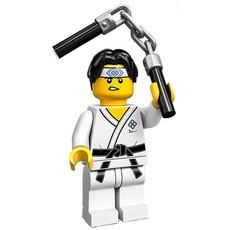 Martial Arts Boy (set 71027-10)