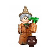 Professor Pomona Sprout