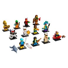 Series 21 - Complete - All Sets (set 71029-13)